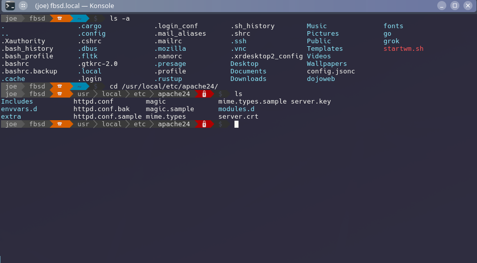 Screenshot of a customized Bash terminal with Go-powered prompt and Fira Code font.
